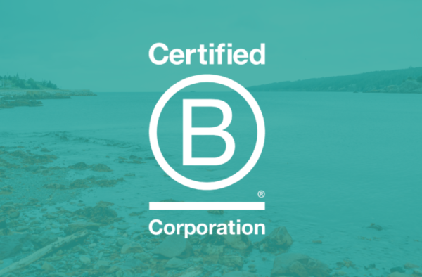 We are a certified B Corp!